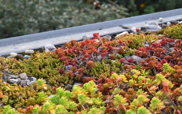 the cost of Dunseverick green roof installation