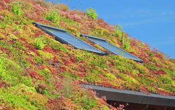 Dunseverick living roof systems