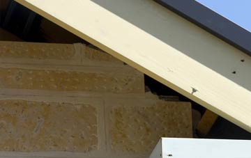 soffit repair Dunseverick