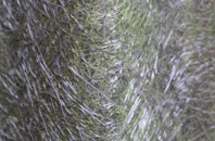 Dunseverick fibreglass roof work